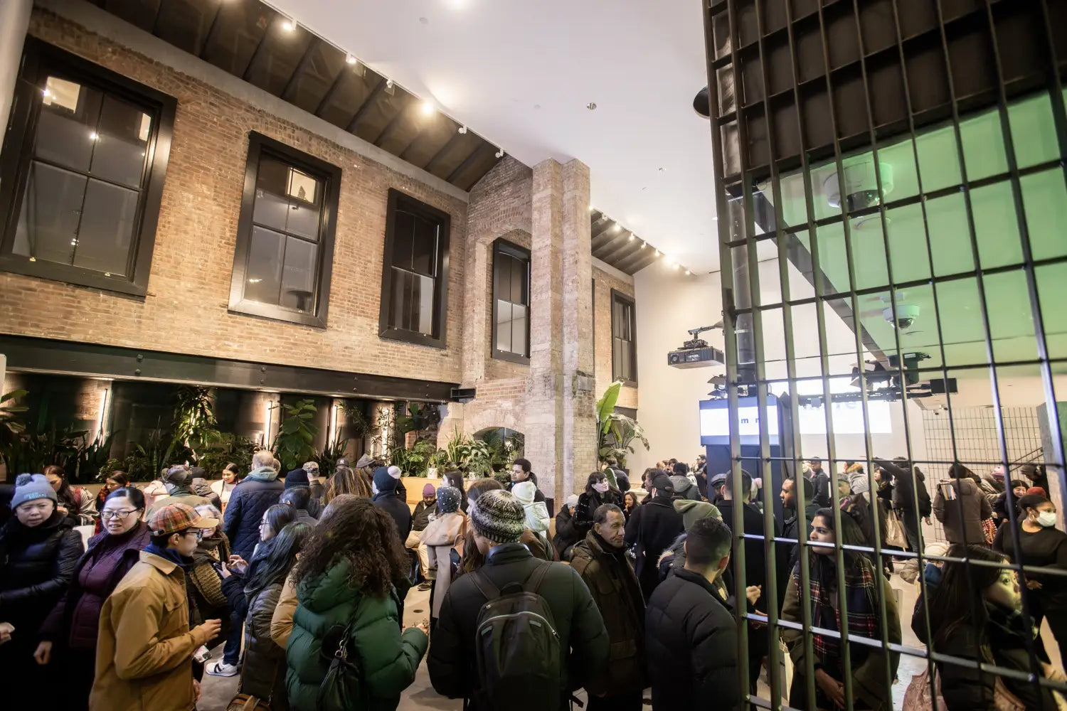 ProofNoMore & Shopify hosting a DRY JANUARY Non-Alcoholic