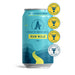 Athletic Brewing Run Wild IPA Non-Alcoholic Beer - 12oz - ProofNoMore